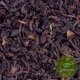 Чай Нувара Элия Пекое (Шри-Ланка)
