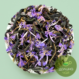 Иван-чай листовой, с цветками кипрея