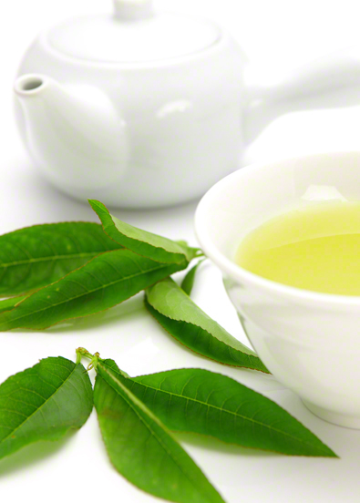 Зеленый чай: особенности и полезные свойства